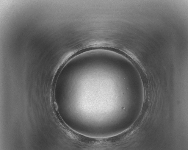 X0000060571277200511101620