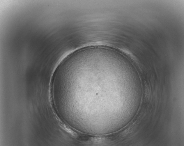 X0000060571278200511101620