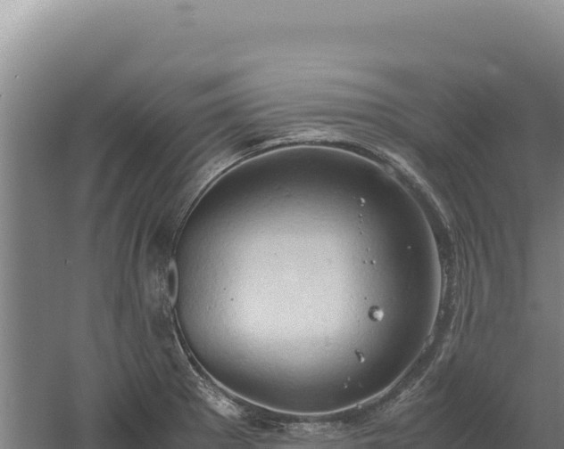 X0000060571281200511101620