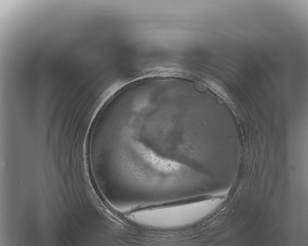 X0000060571283200511101620