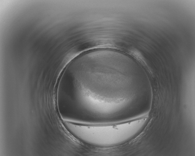 X0000060571284200511101620