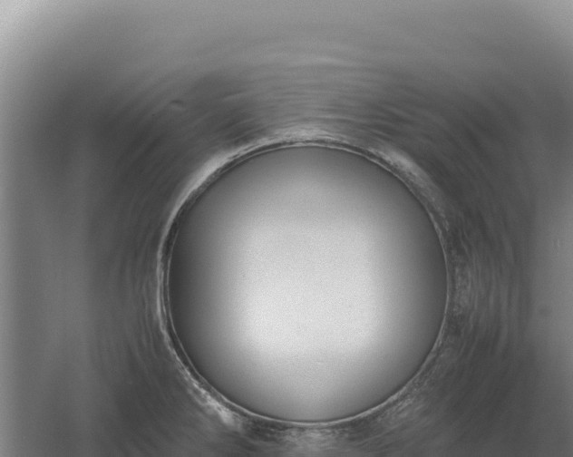 X0000060571286200511101620