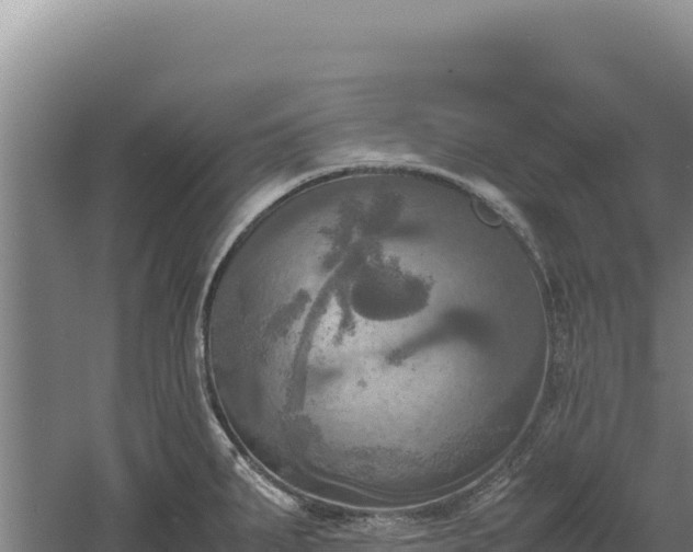 X0000060571287200511101620