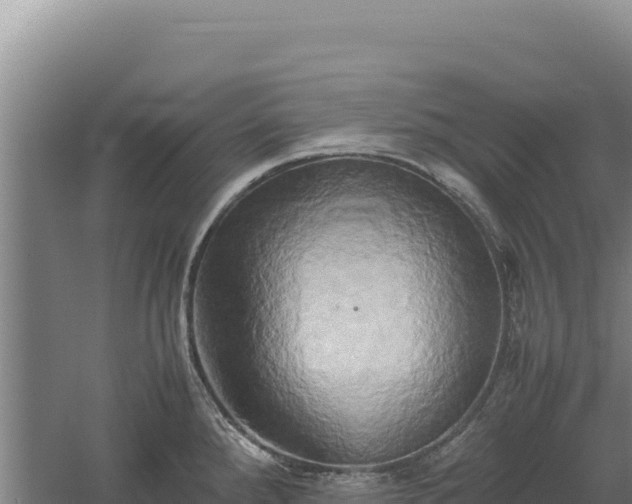 X0000060571288200511101620