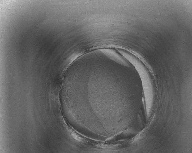 X0000060571289200511101620