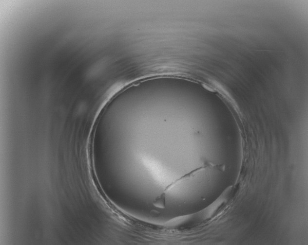 X0000060571291200511101620