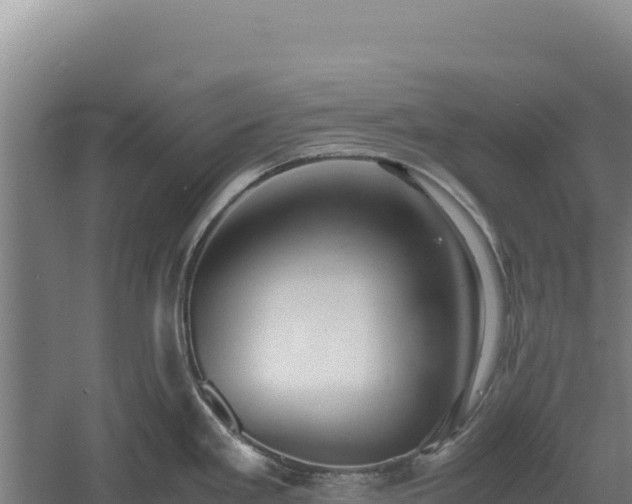 X0000060571293200511101620