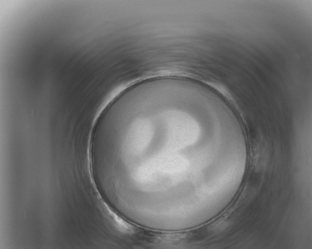 X0000060571294200511101620