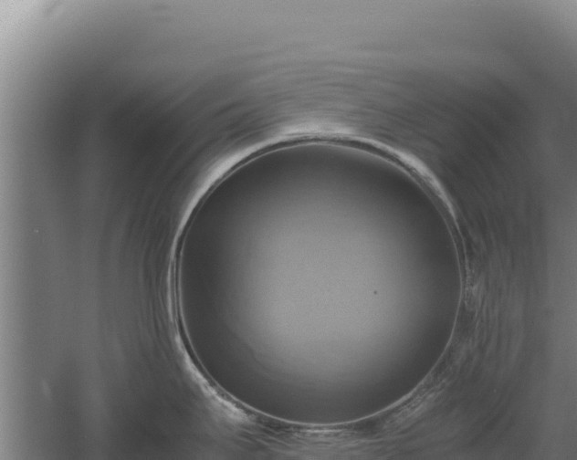 X0000060571295200511101620