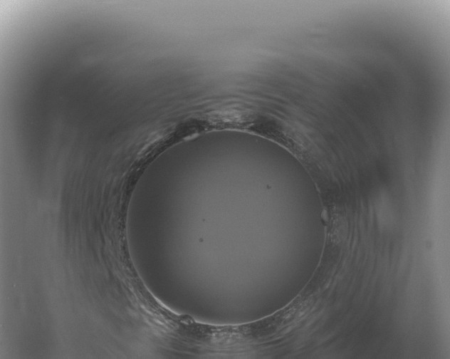 X0000060571297200511101619