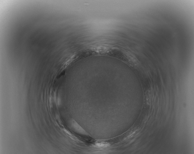 X0000060571298200511101619