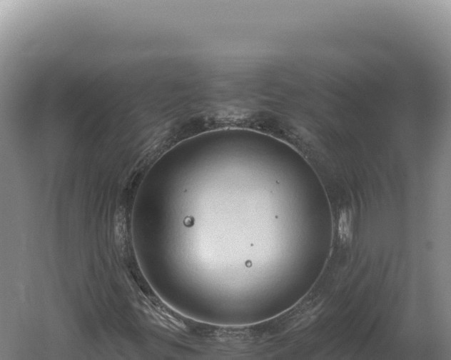 X0000060571299200511101619