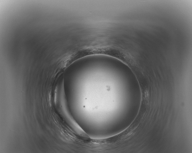 X0000060571300200511101619