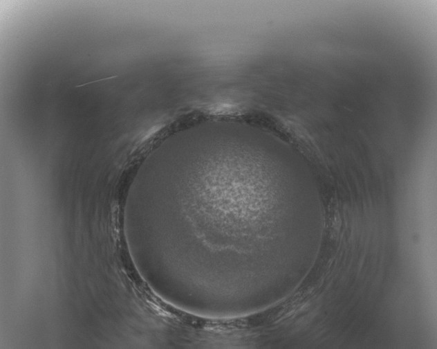 X0000060571301200511101619