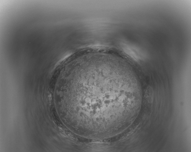 X0000060571302200511101619