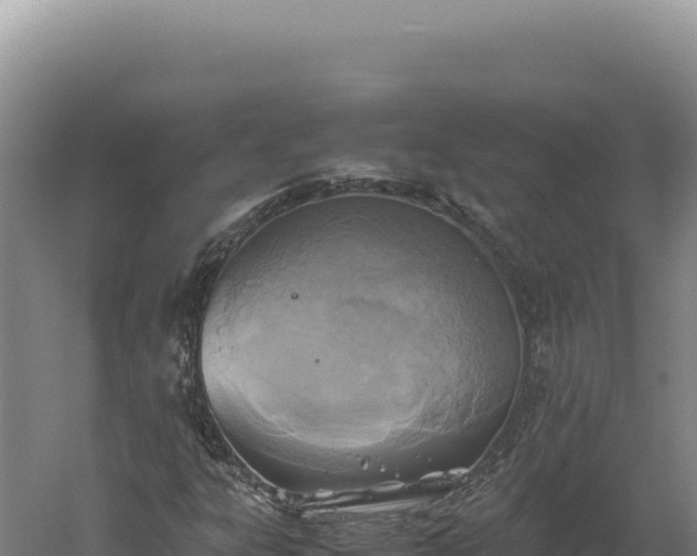 X0000060571303200511101619