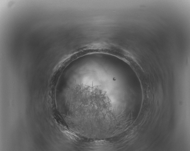 X0000060571304200511101619