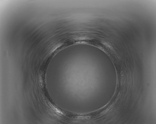 X0000060571305200511101619