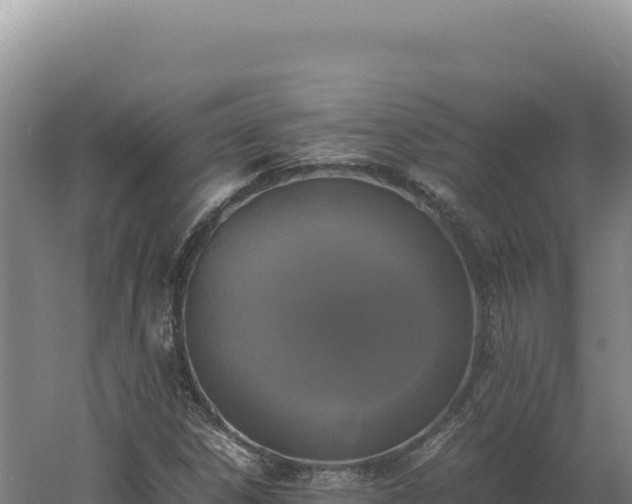 X0000060571306200511101619