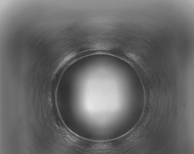 X0000060571307200511101619