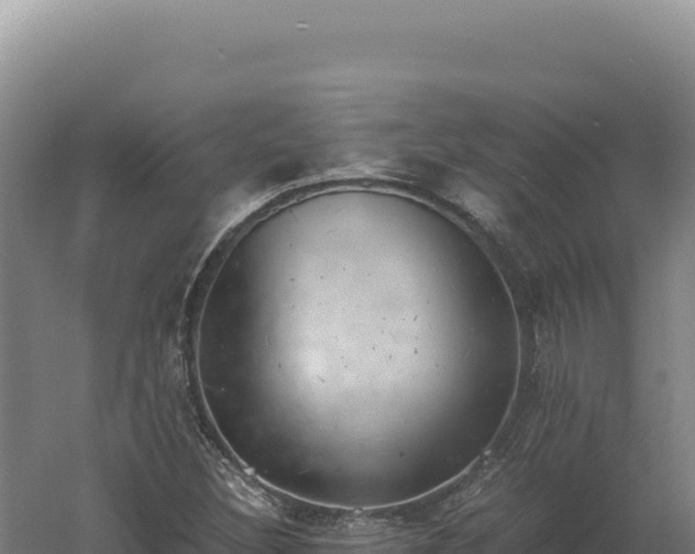 X0000060571308200511101619