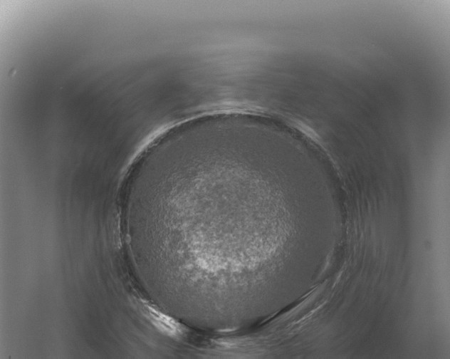 X0000060571310200511101619