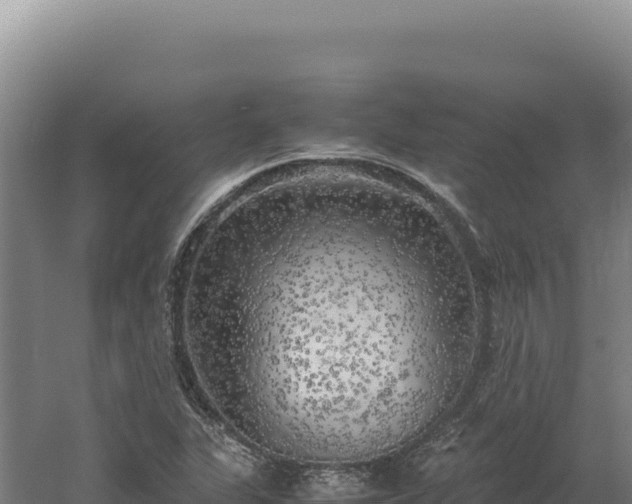 X0000060571311200511101619