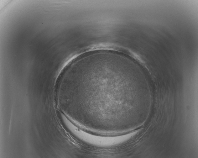 X0000060571312200511101619