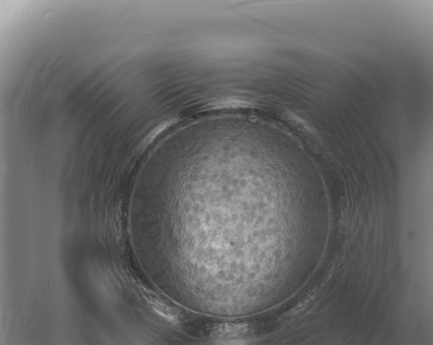 X0000060571313200511101619