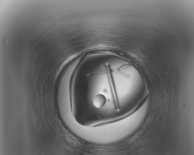 X0000060571314200511101619