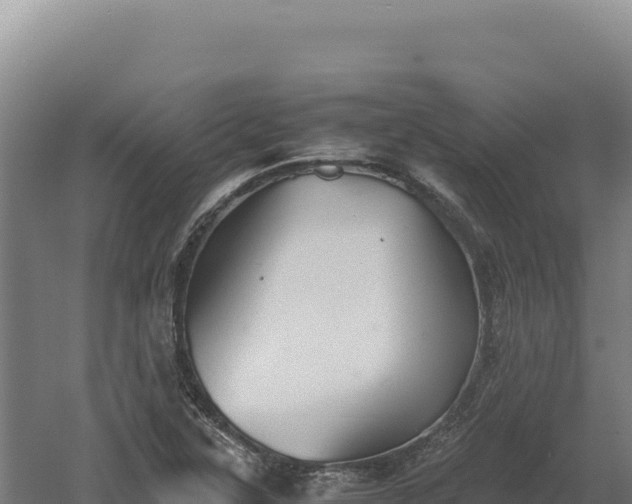 X0000060571315200511101619