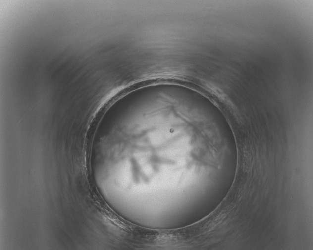 X0000060571316200511101619