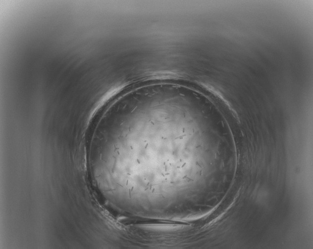 X0000060571317200511101619