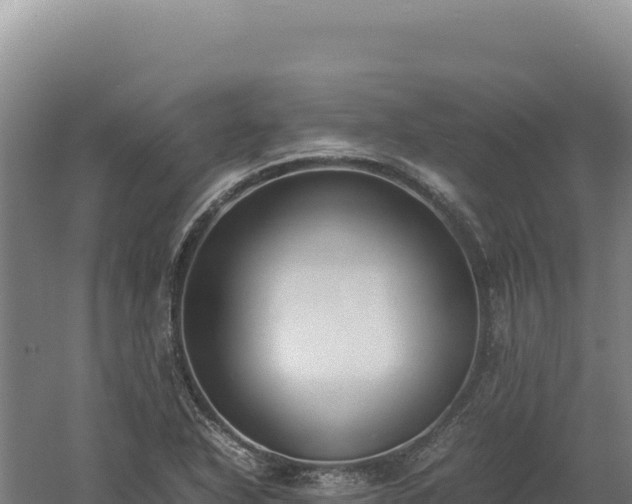 X0000060571318200511101619