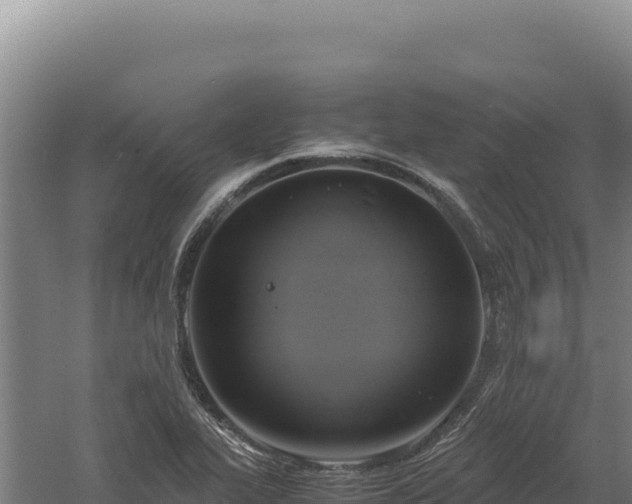 X0000060571319200511101619