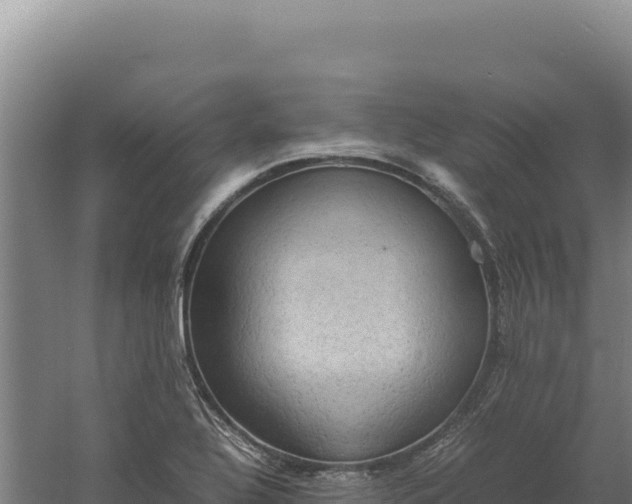 X0000060571320200511101619