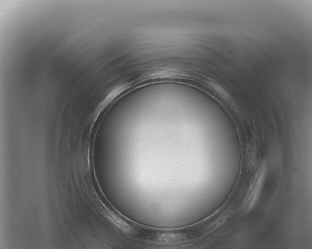 X0000060571322200511101619