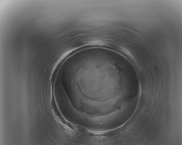 X0000060571323200511101619