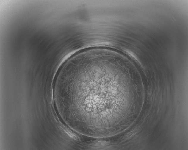 X0000060571324200511101619