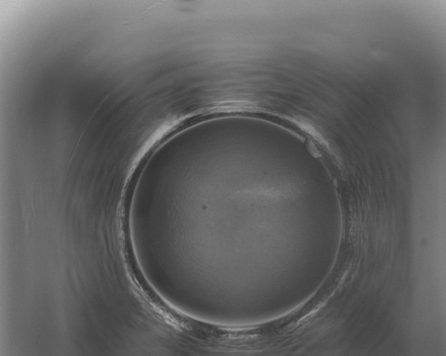 X0000060571325200511101619