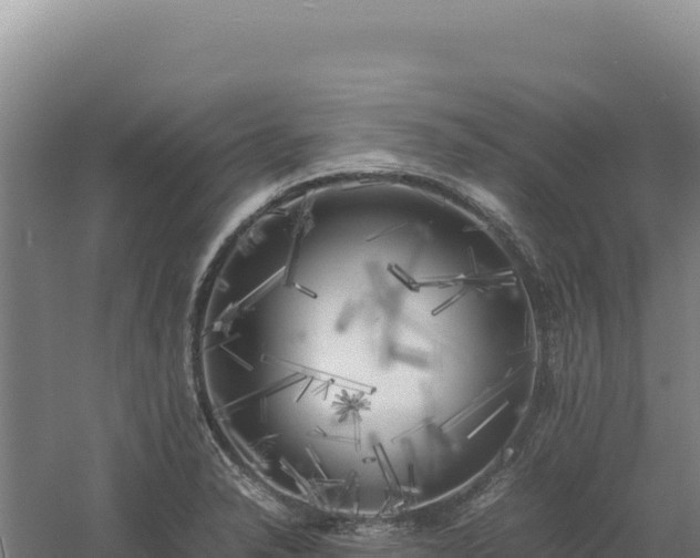 X0000060571326200511101619