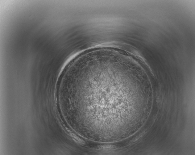 X0000060571328200511101619