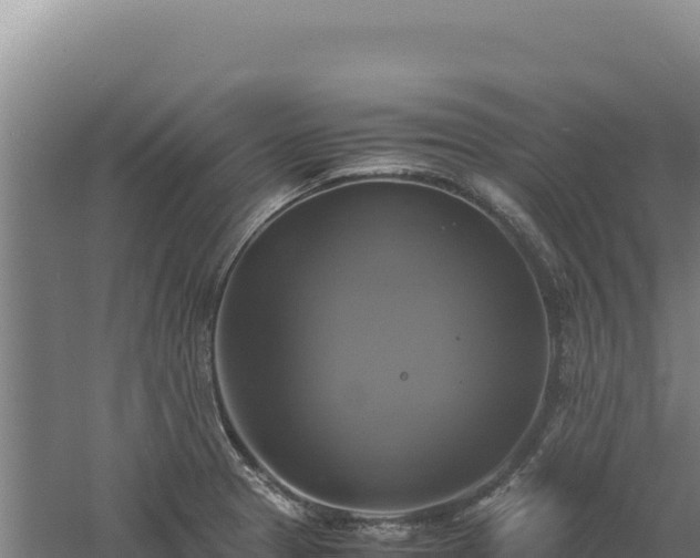 X0000060571329200511101619