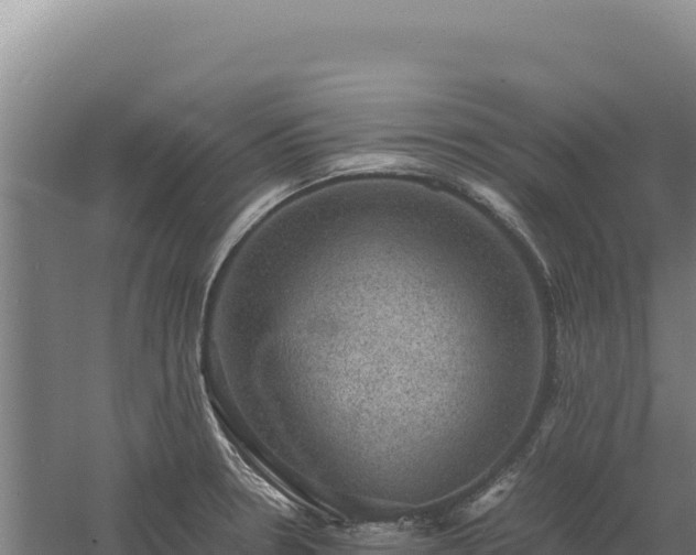 X0000060571330200511101619