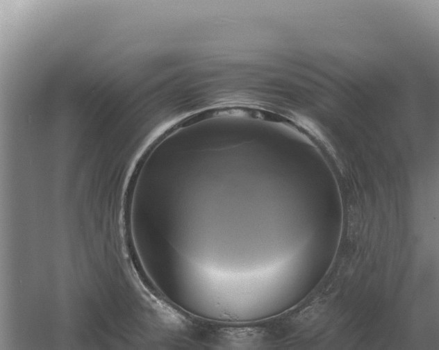 X0000060571331200511101619