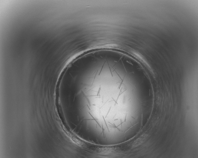 X0000060571332200511101619