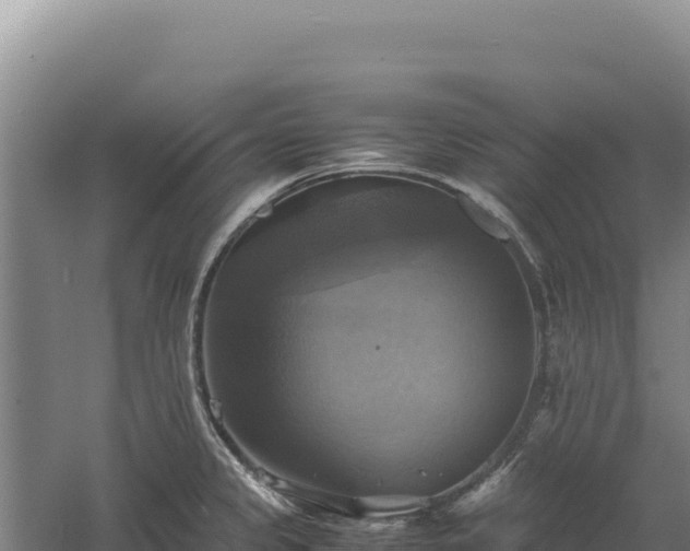 X0000060571333200511101619