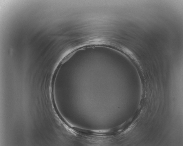 X0000060571334200511101619