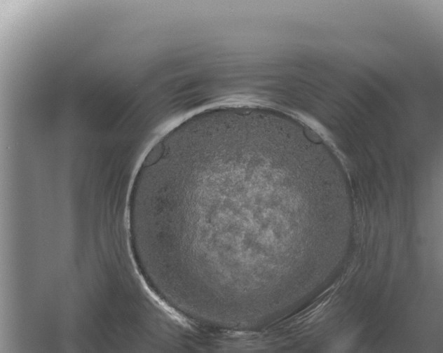 X0000060571335200511101619