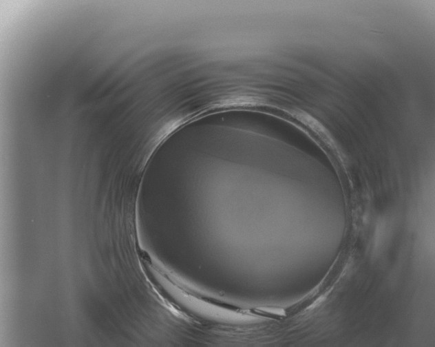 X0000060571337200511101619